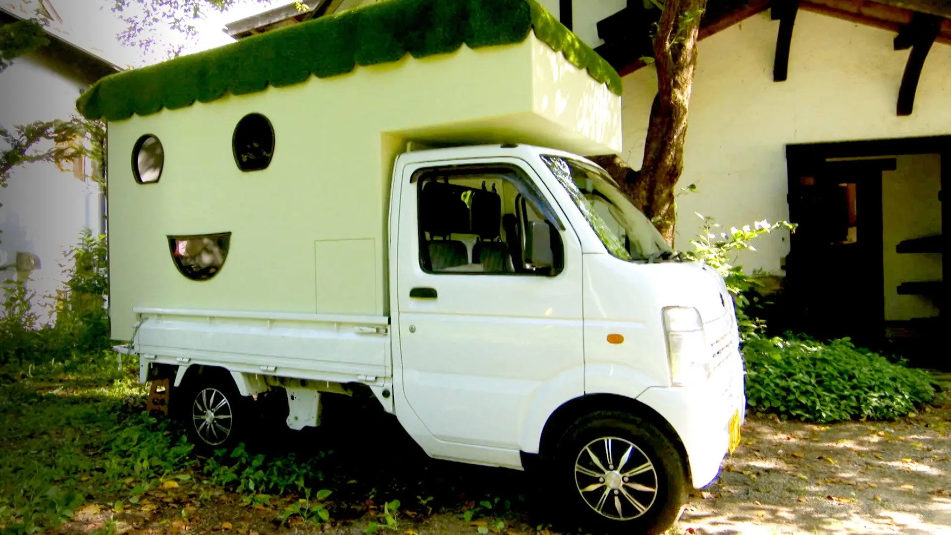 Japanology Plus mini backdrop