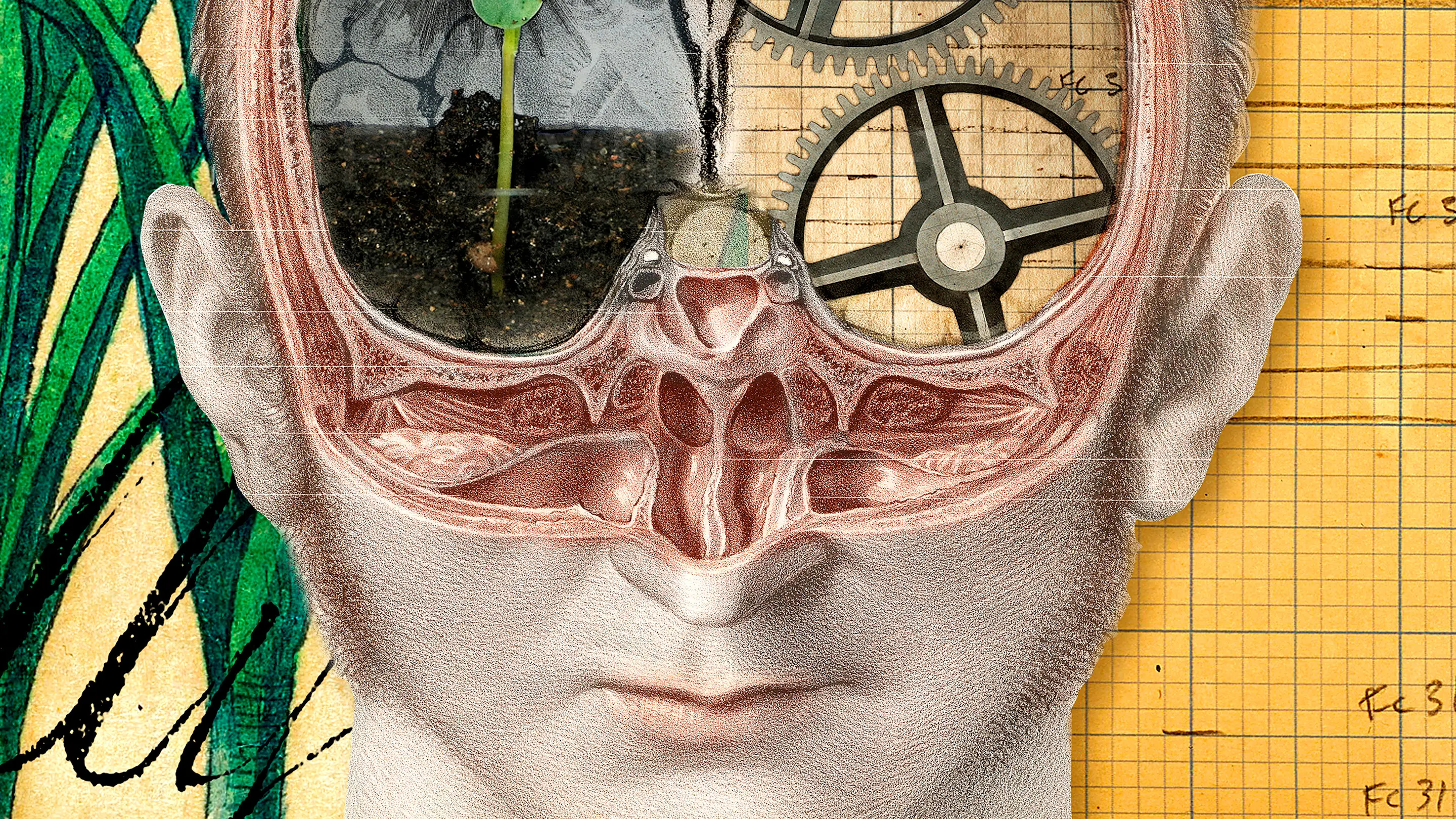 The Divided Brain backdrop