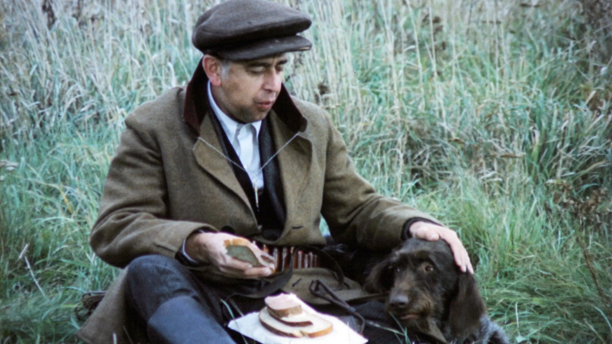 Dogs and People backdrop