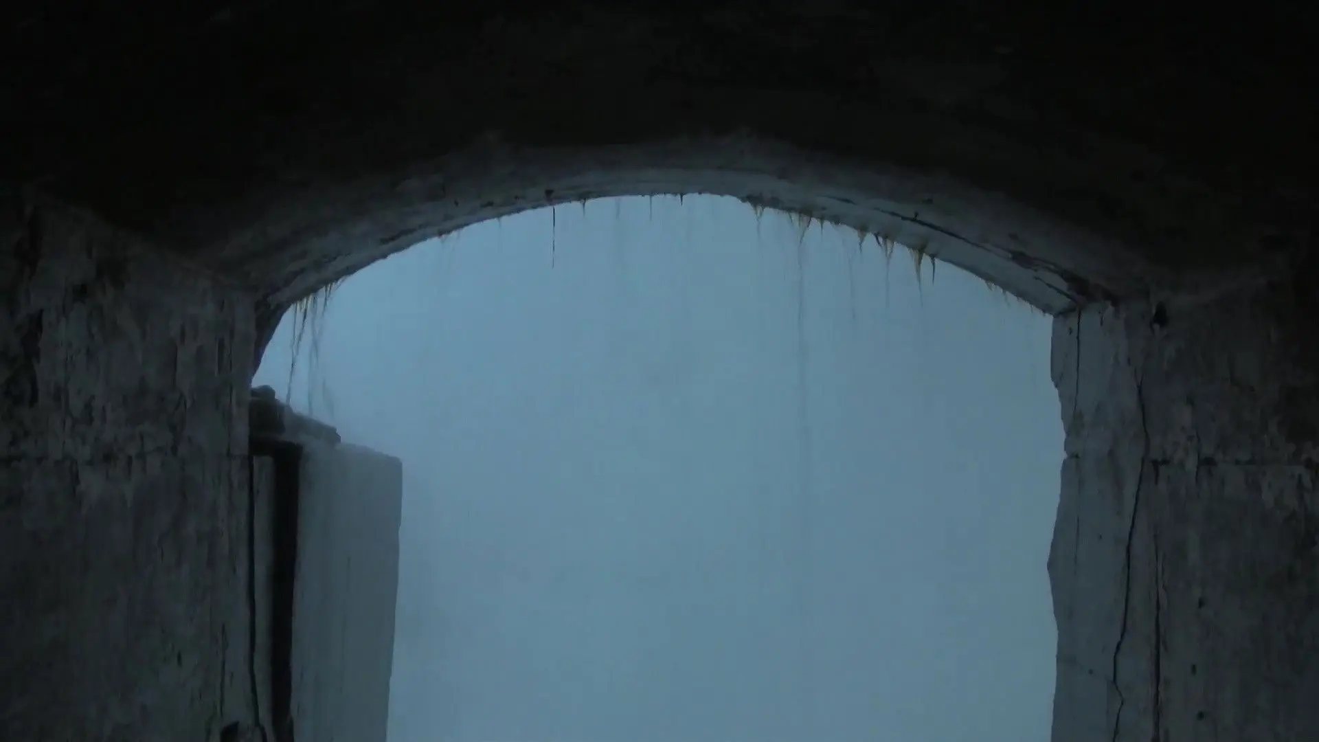 She Held Me Close And Whispered "Kill Me" backdrop