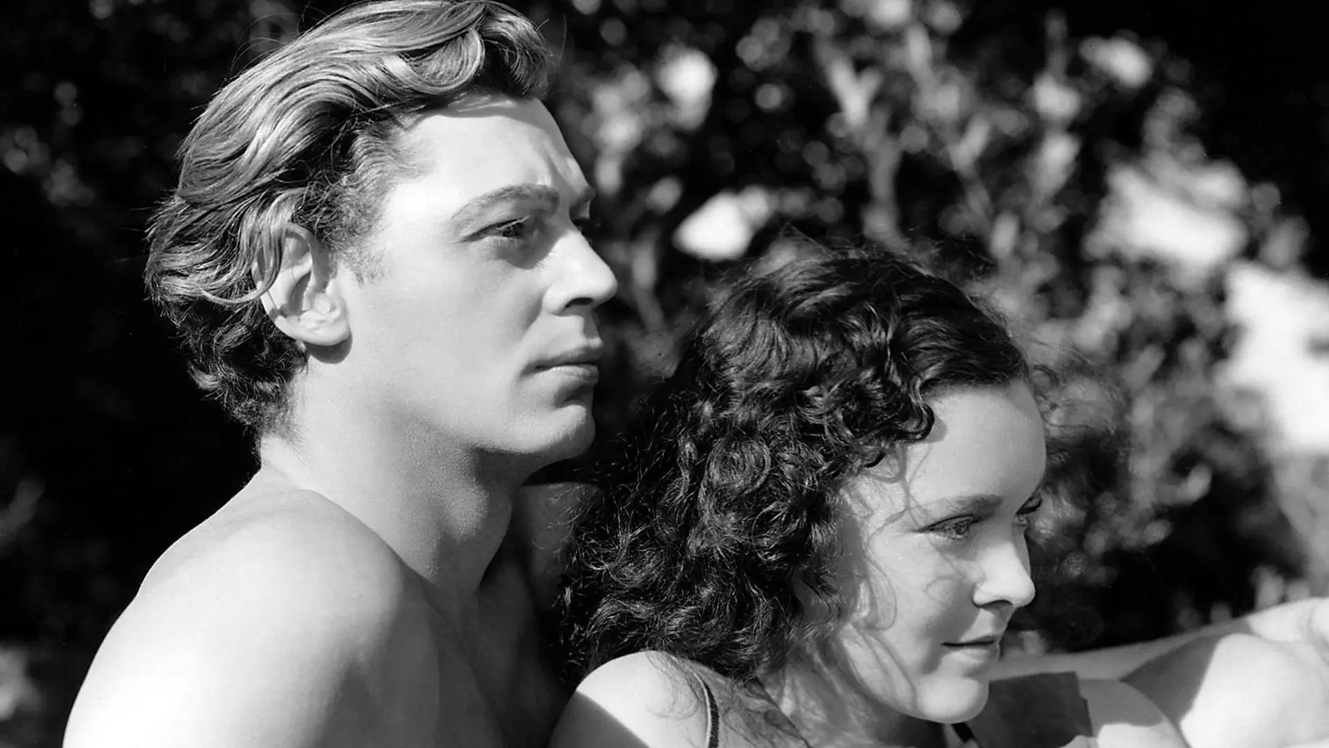Tarzan and His Mate backdrop