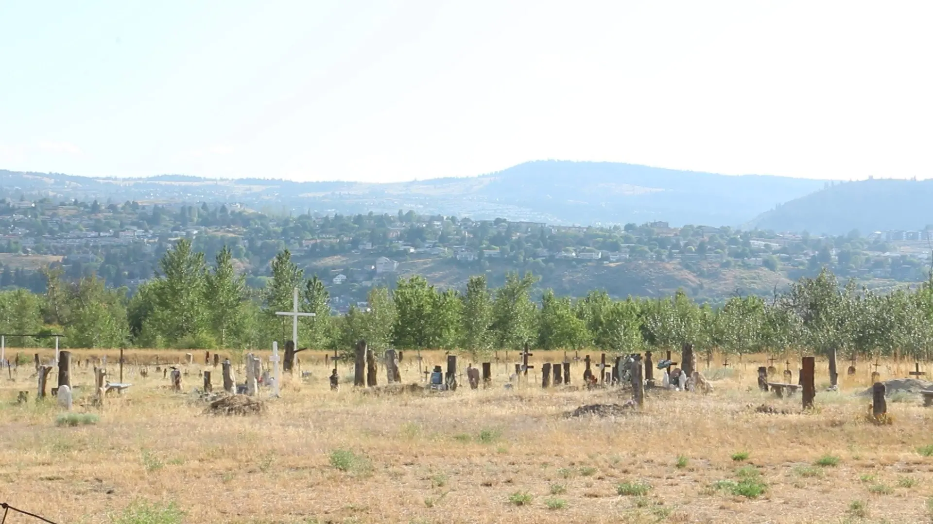Gentleman Bandit backdrop