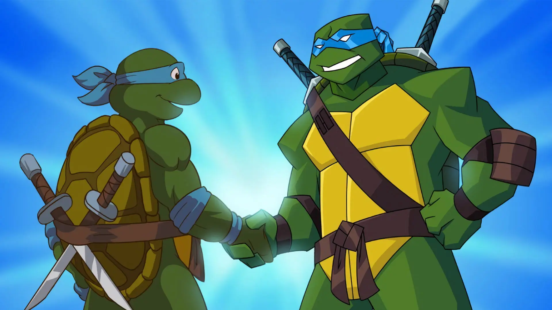 Turtles Forever backdrop