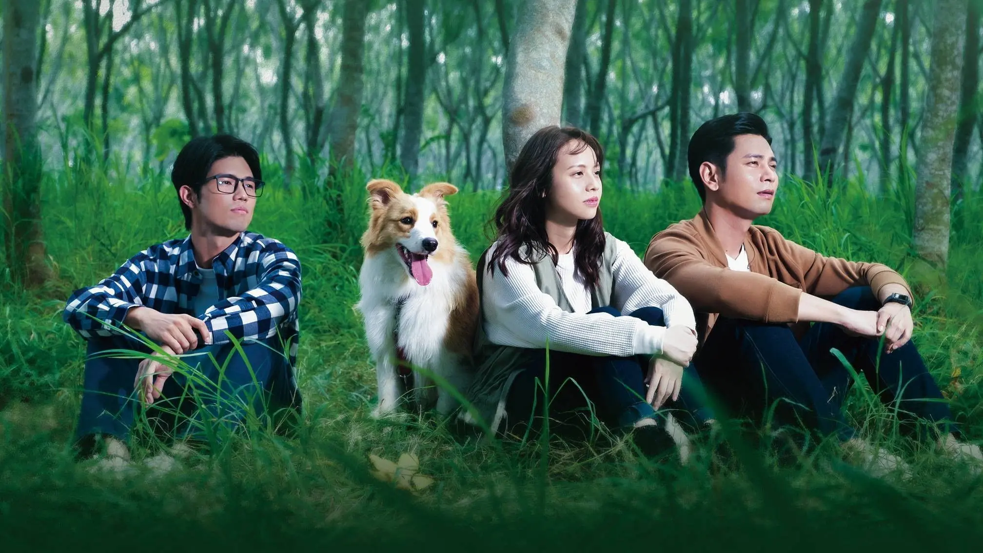 Goodbye Again backdrop