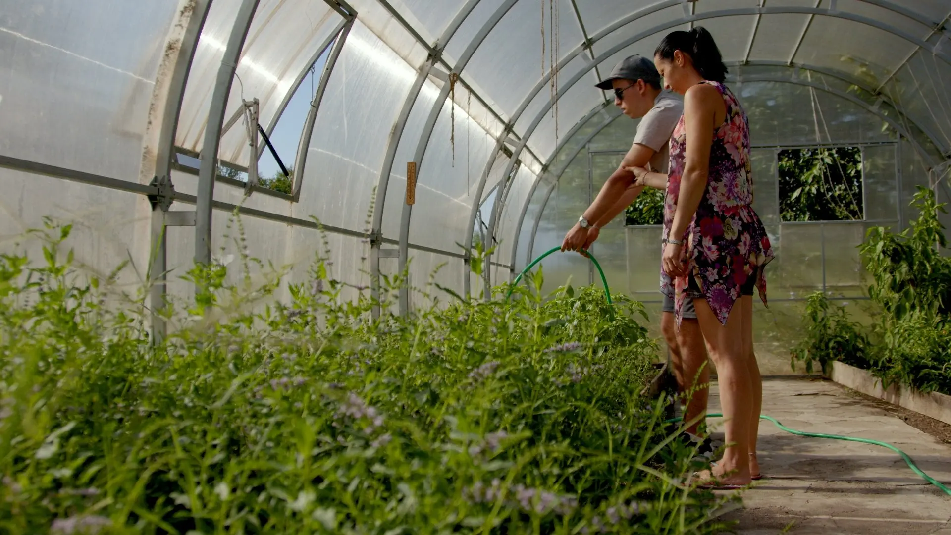 The Garden of Goodness backdrop