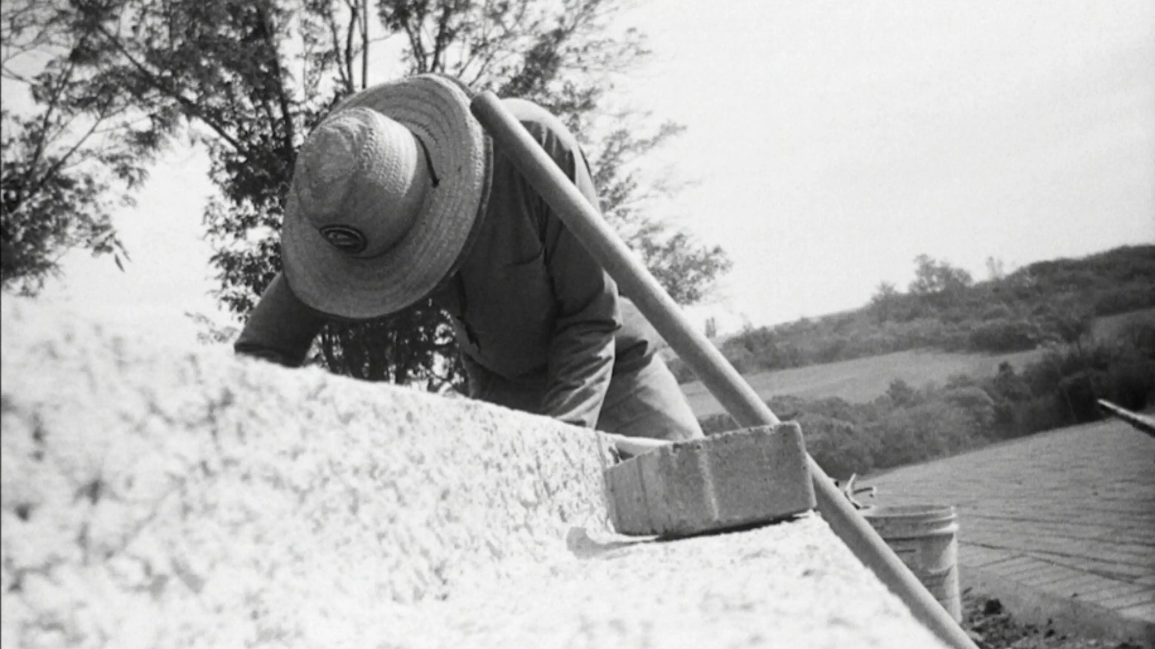 INTERVENTIONS AND INTERFERENCES backdrop