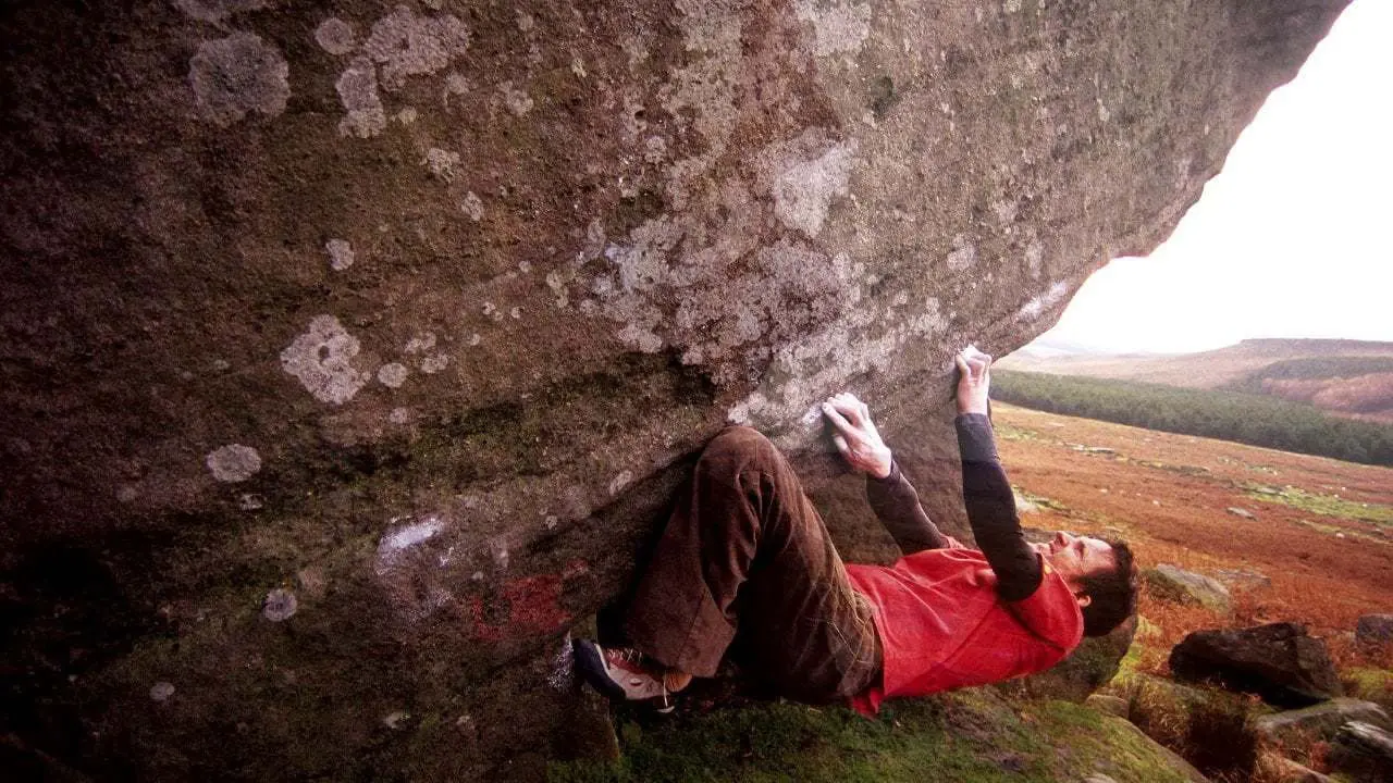 Winter Sessions backdrop