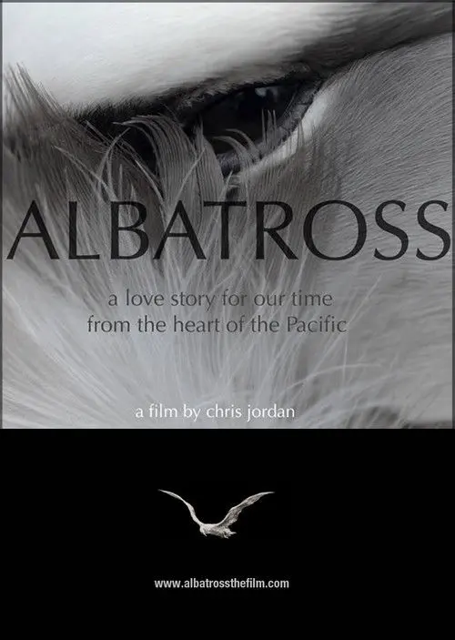 Albatross