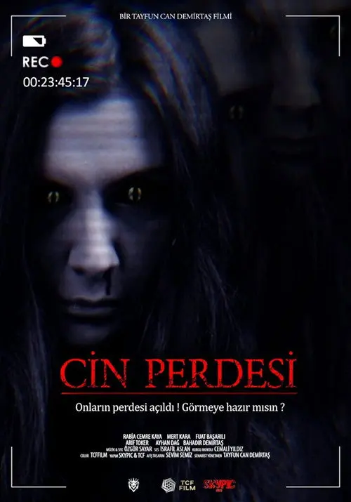 Cin Perdesi