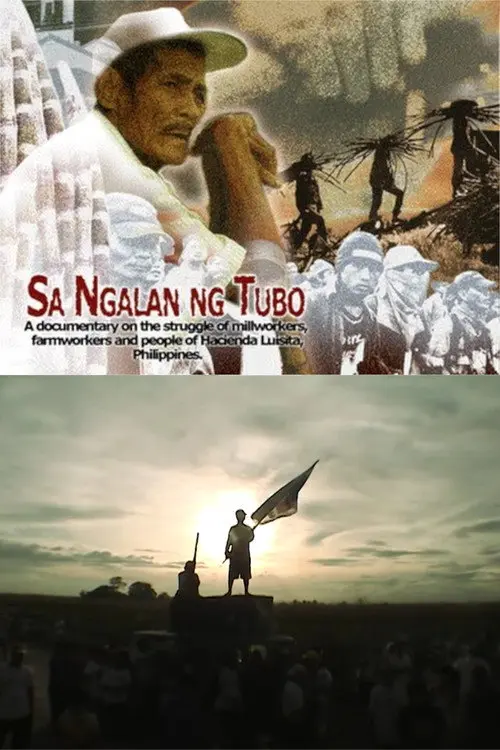 In the Name of the Sugarcane